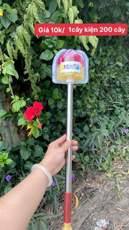 Cây chà bồn Cầu cán inox