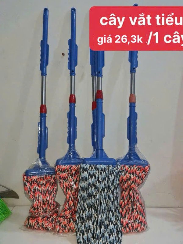 cây vắt tiểu lau nhà