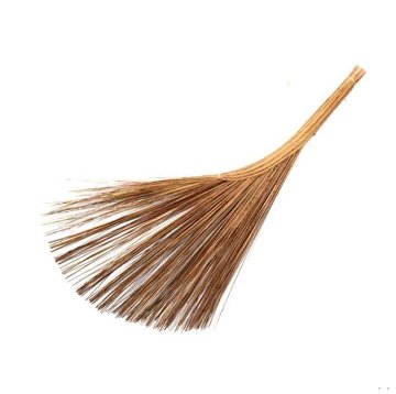 Chổi Dừa